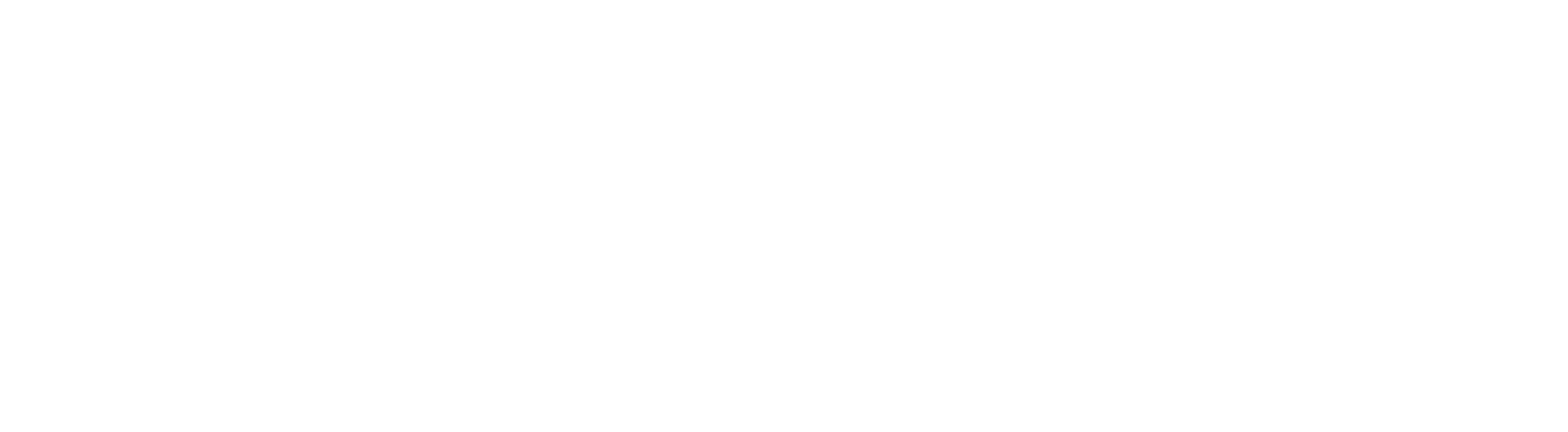 belamco logo white-01